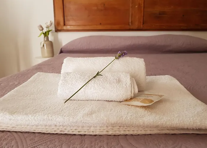 La Viola E Il Sole - Alloggi E Glamping -