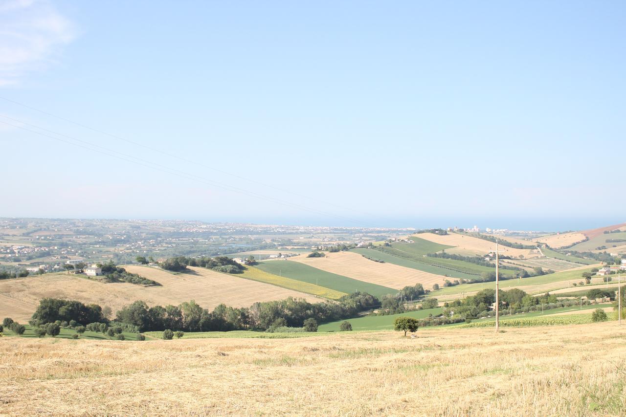 La Viola E Il Sole - Alloggi E Glamping - Apartment