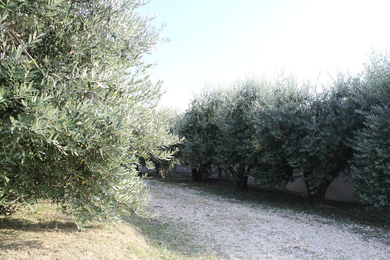 La Viola E Il Sole - Alloggi E Glamping - *