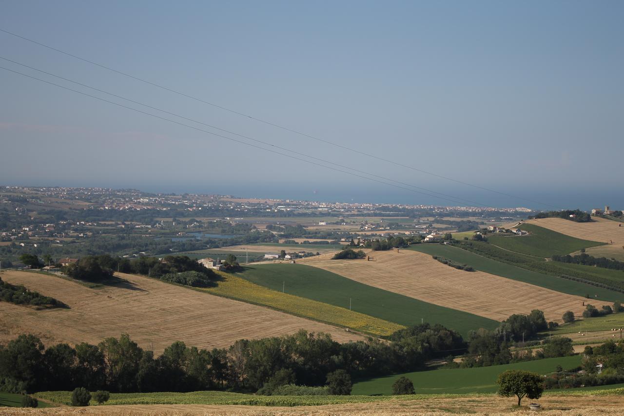 La Viola E Il Sole - Alloggi E Glamping -