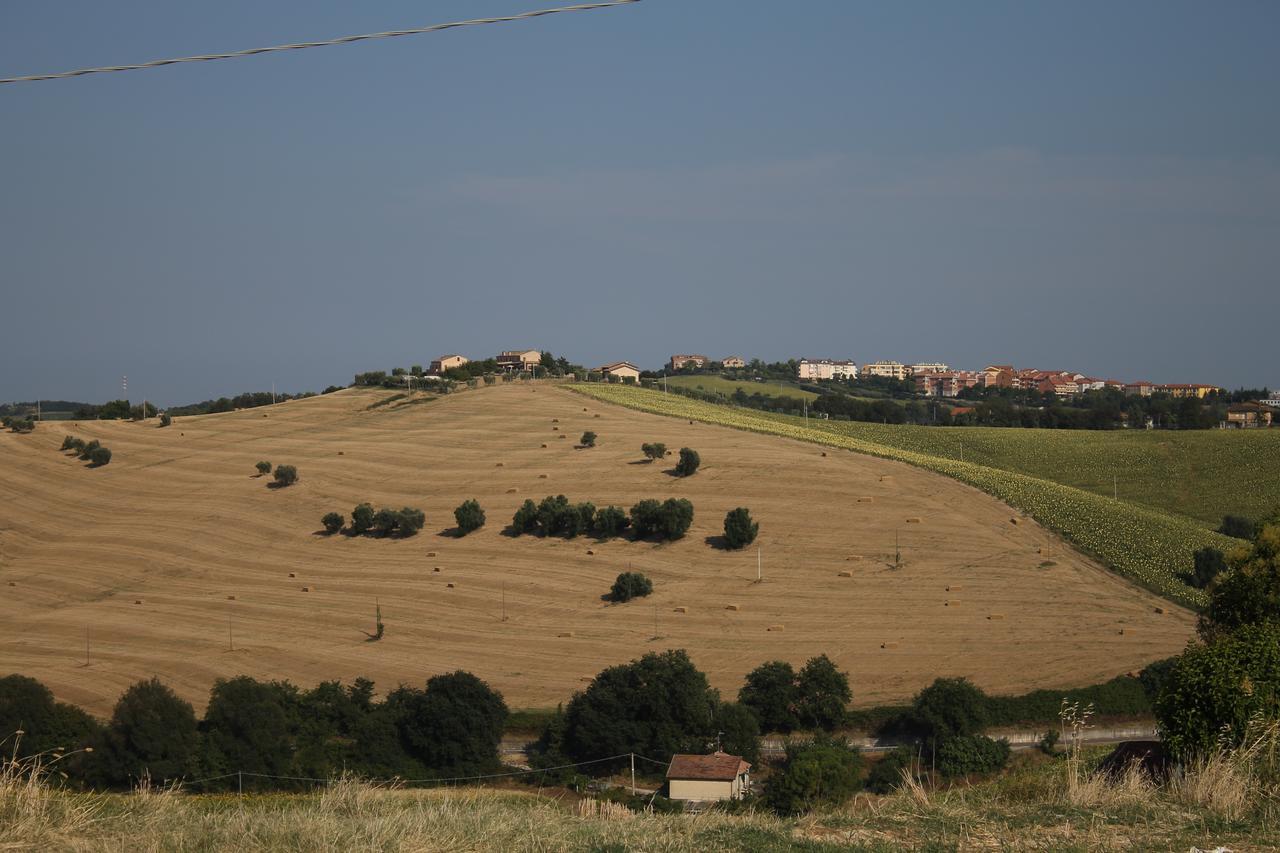 Apartment La Viola E Il Sole - Alloggi E Glamping - *